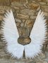 Ангелски крила за декорация и фотосесия , снимка 12