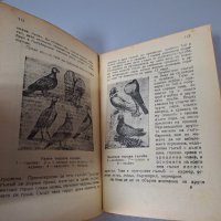 "Борба за живот в природата и разгаданата тайна на природата", 1946 г., снимка 5 - Енциклопедии, справочници - 42908320