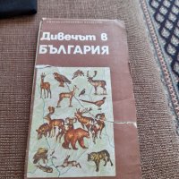 Стара карта Дивечът в България, снимка 1 - Други ценни предмети - 37557853