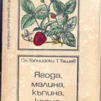 Ягода, малина къпина, касис Сл. Топчийски, Т. Ташев, снимка 1 - Специализирана литература - 29162548