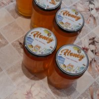 Продавам Пчелен Мед И Пчелен Прашец, снимка 3 - Пчелни продукти - 39025586