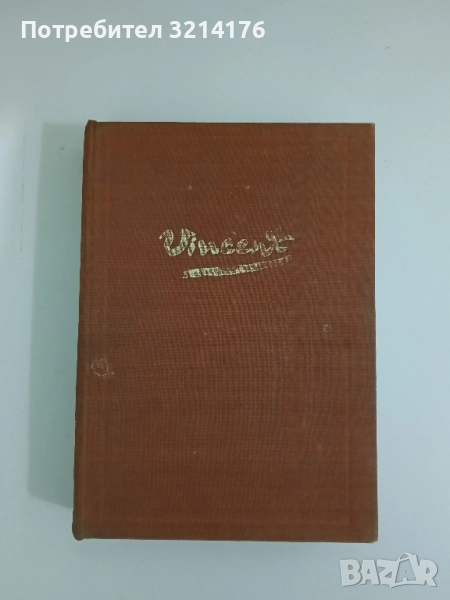 Жажда за живот. Историята на Винсент ван Гог - Ървинг Стоун, снимка 1