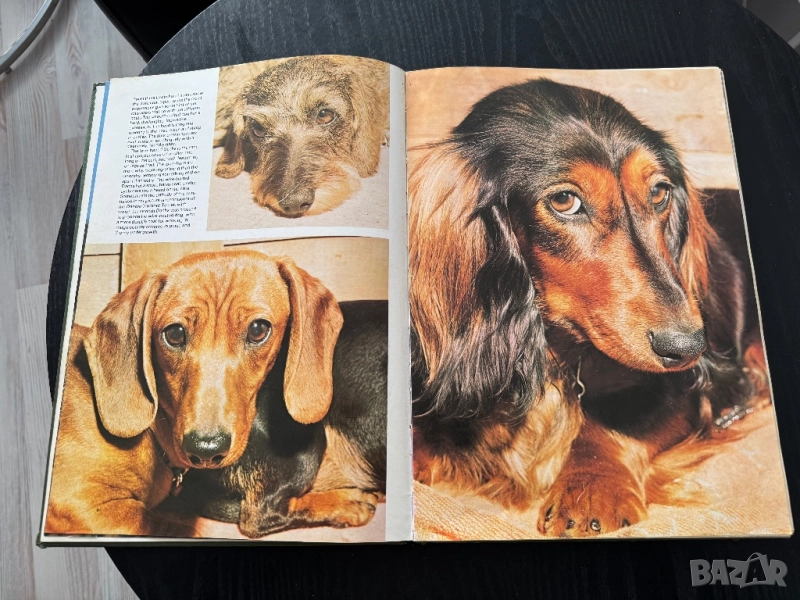 Кинология - книги и списания за кучето и котката, снимка 1