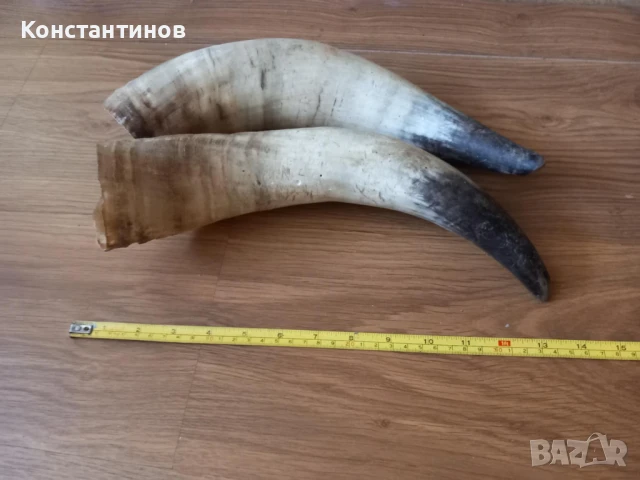 Големи рога за барутници