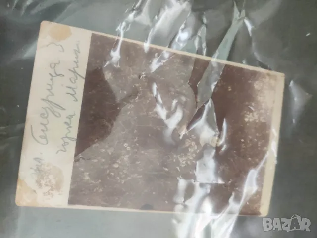 Продавам снимки Цариброд 1916-1918 и Цветана Цариброд юли 1926 ,Блажени времена, снимка 3 - Други ценни предмети - 47484436