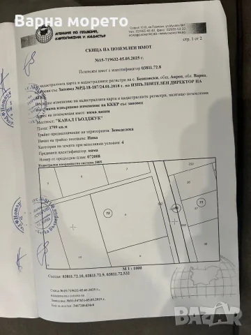 Нива на 3 км от село Бенковски
