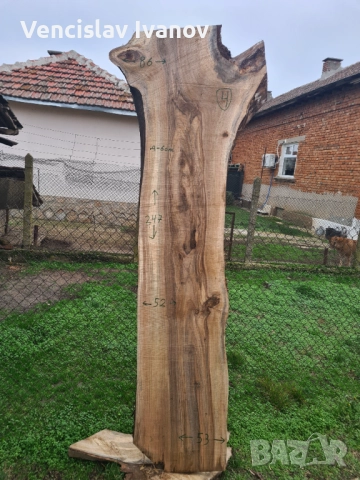 Орехов дървен материал, снимка 3 - Други - 52777251