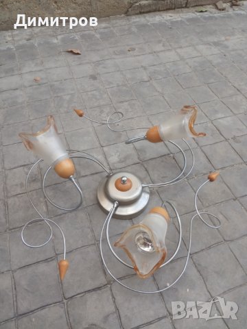 Полилей, снимка 4 - Полилеи - 42612700