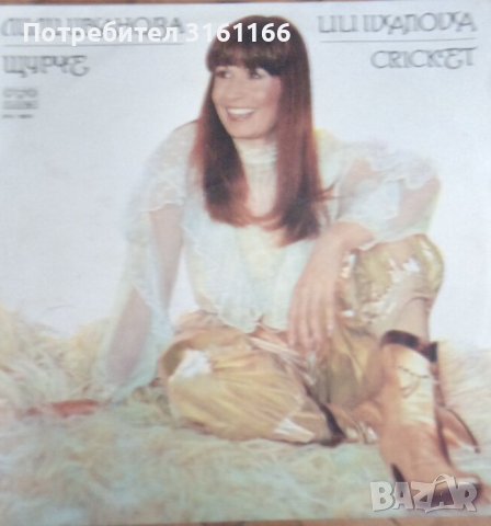 Грамофонни плочи много запазени , снимка 13 - Грамофонни плочи - 42559006