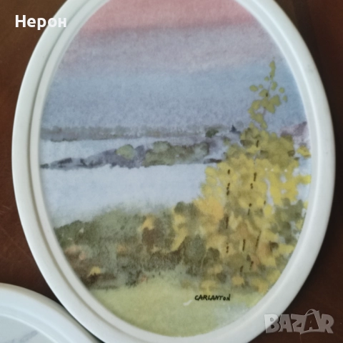 Порцеланови чинии/чиния за стена/пана, снимка 6 - Пана - 52500719