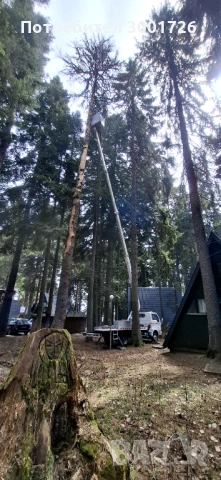 Услуги с автовишка 20 метра, снимка 4 - Други услуги - 54141033