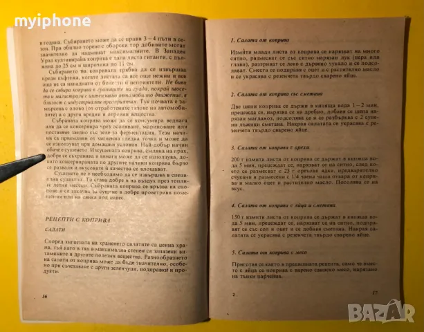 Стара Книга Коприва и Глухарче 200 Кулинарни и Здравни Рецепти, снимка 4 - Специализирана литература - 49293702