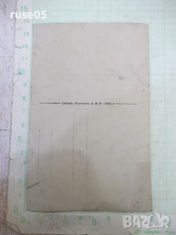 Снимка на семейство стара, снимка 2 - Колекции - 50509061