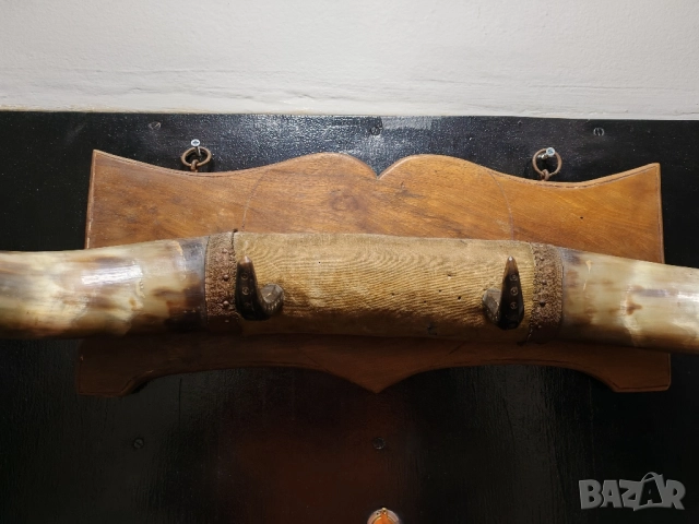 Рога от вол, Тексас , каубой, родео, закачалка. , снимка 5 - Антикварни и старинни предмети - 52000137