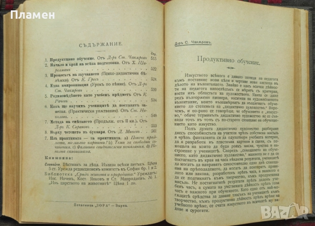 Училищна практика. Год. 1: Книга 1-10 / 1906, снимка 11 - Антикварни и старинни предмети - 51837003