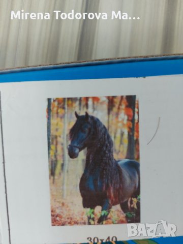 Диамантен гоблен. Комплект за изработване . Квадратни диаманти, снимка 17 - Гоблени - 36902441