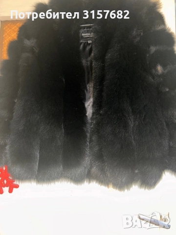 Палто, снимка 4 - Палта, манта - 51748688