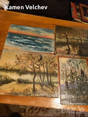 лот от картини на една художничка..., снимка 4 - Колекции - 49943272