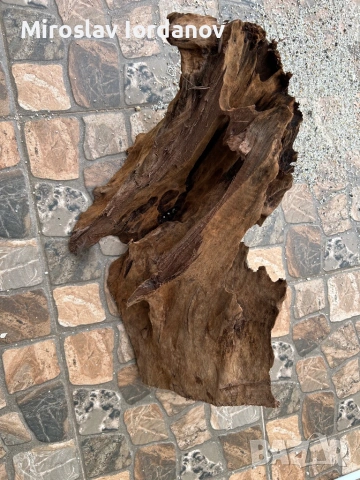Мангров корен ХХЛ, снимка 3 - Оборудване за аквариуми - 54029892