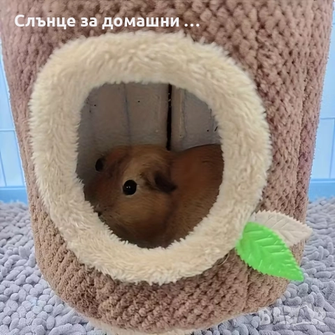 Къщичка за гризачи., снимка 8 - За гризачи - 52420541