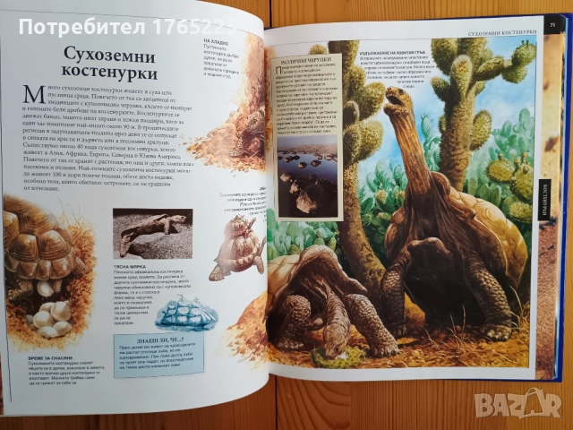 Детска енциклопедия+албум с карти, снимка 3 - Енциклопедии, справочници - 52596381