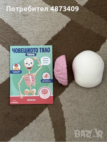 ,,Човешкото тяло говори”, снимка 3 - Образователни игри - 56545158
