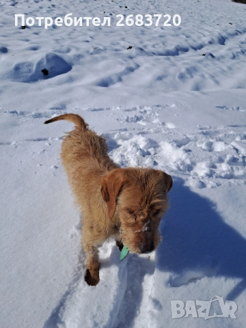 Барак на 3 г. Мъжко 