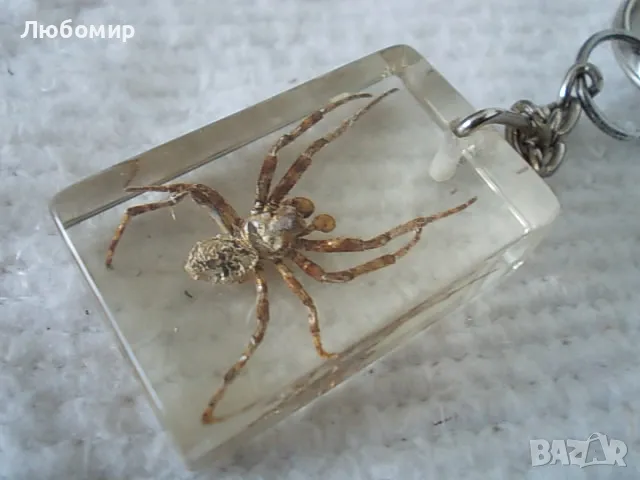 Стари ключодържатели Насекоми, снимка 3 - Антикварни и старинни предмети - 49544764