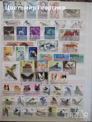 Класьор с марки /животни/ 650 бр ., снимка 7 - Филателия - 53078099