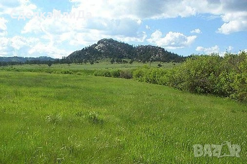 Пасища 53дка