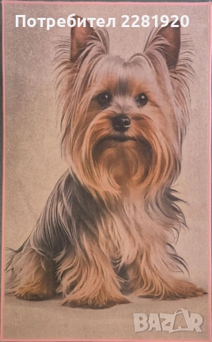 Килими Digital Print 100/150 100% полиамид, снимка 2 - Килими - 53174367