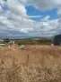 Продавам имот в с Иваняне, снимка 10