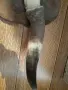 Рога закачалка за стена , снимка 4