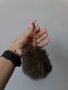 Ново пухче с естествен косъм на намаление, снимка 1 - Други - 37390414