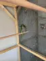 Продавам Китайски Александър, снимка 1