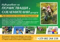 Почистване и подръжка на домове и дворове , снимка 6