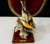 Порцеланова статуетка птица Дрозд,Capodimonte от R.Pennati. , снимка 1