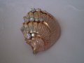 Дамска брошка , снимка 2
