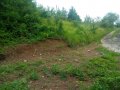 Продавам парцел в село Краево област София, на 20 километра от Ботевград , снимка 12