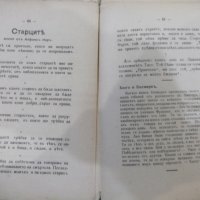 Книга "Ученически другаръ - издат. Ст. Атанасовъ" - 100 стр., снимка 5 - Детски книжки - 31234357