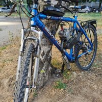 колело,велосипед с двигател, снимка 3 - Велосипеди - 38419794