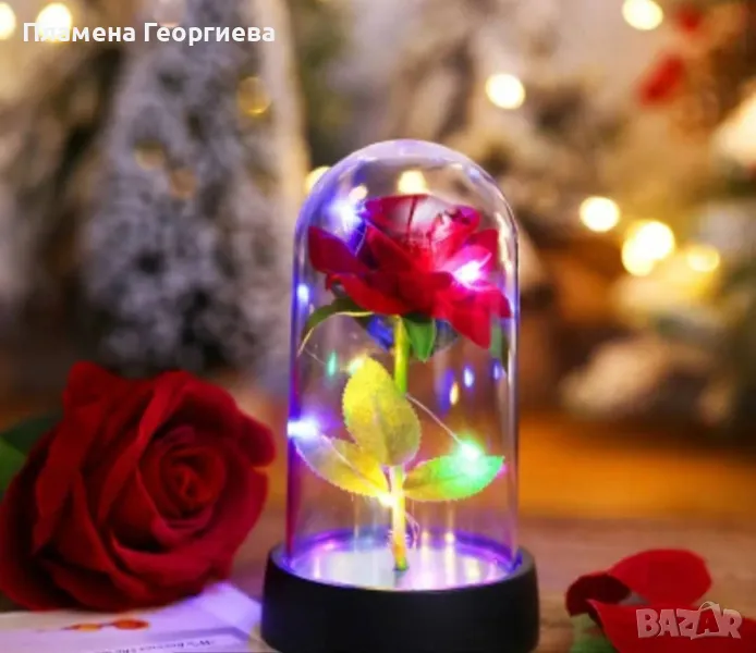 Вечна роза, снимка 1