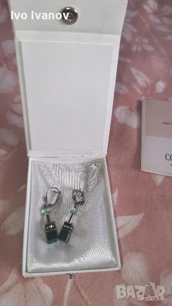 Обеци германски, снимка 1