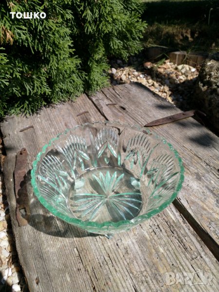 Фруктиера , снимка 1