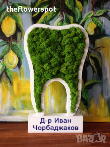 Подарък - За зъболекар и зъботехник - зъб със скандинавски мъх, снимка 8 - Други - 40661965