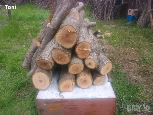 продава орех-материал, снимка 2 - Други - 54346182