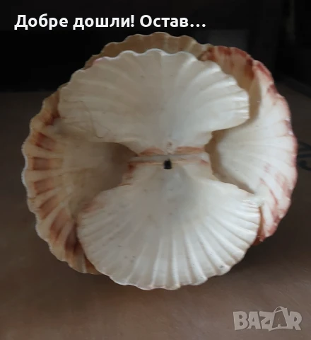 Кукла, декорация от големи миди 23 см. висока, снимка 4 - Декорация за дома - 51326658