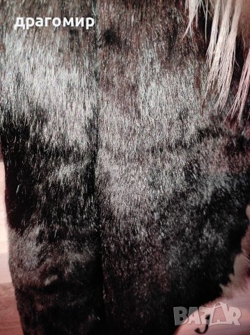 Дамско яке от заешка кожа S размер, снимка 2 - Якета - 39125084