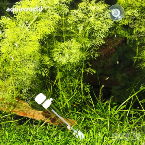 "ПРОМОЦИЯ" JBL PlaCollect капан за планарии, снимка 4 - Оборудване за аквариуми - 29708813