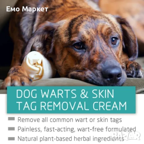 Спрей за домашни любимци за пемахване на бенки, папиломни, брадавици Yegbong, снимка 3 - За кучета - 49280618